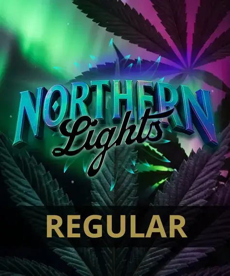 Cannabissamen Northern Lights regulär für Indoor und Outdoor